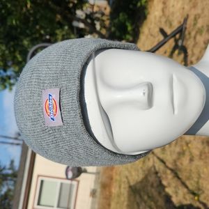 Dickies unisex hoodie Color gray size os